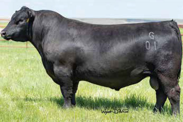 Baldrige Sr Goalkeeper